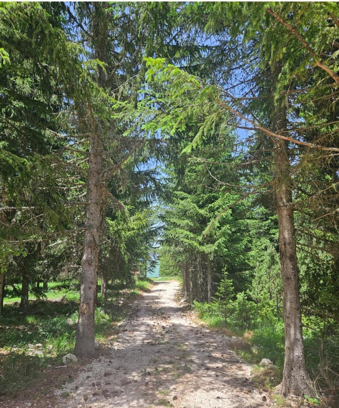 Vikendice Preradovic Villa Žabljak Dış mekan fotoğraf